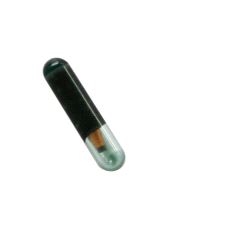 TP24 Transponder Megamos