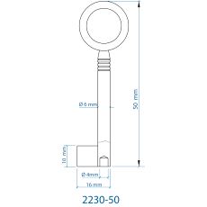 2230-50 Nøkkelemne